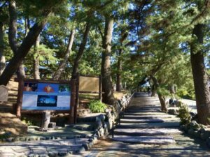 静岡の三保松原
