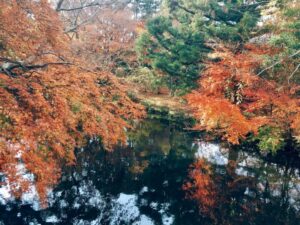 大分の金鱗湖と紅葉