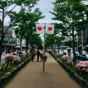 鶴岡八幡宮の参道