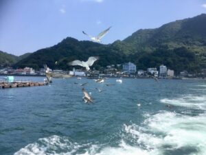 遊覧船から撮った伊豆の海とカモメ