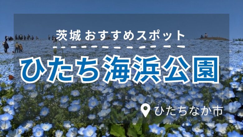 茨城おすすめスポット、ひたち海浜公園