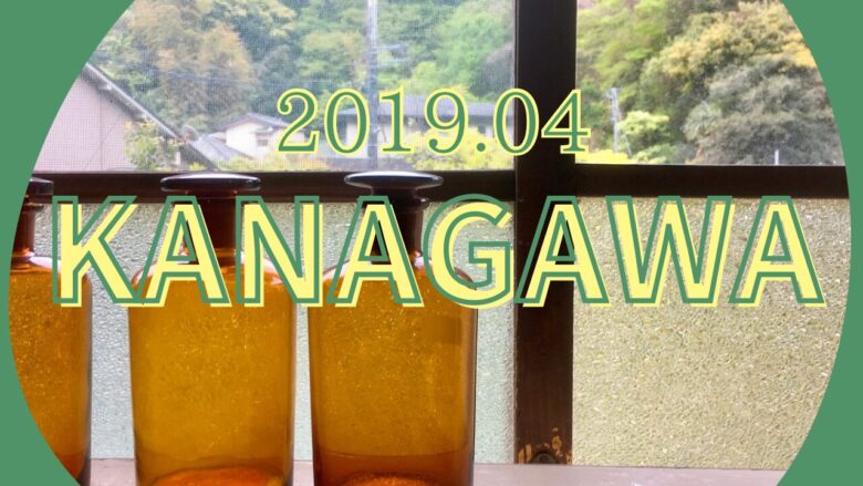 kanagawa2019.04